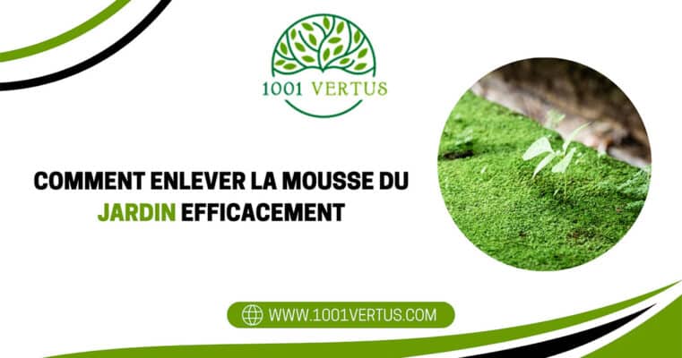 remover eficazmente o musgo de jardim