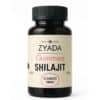 60 gummies au shilajit 1000mg - Ziyada